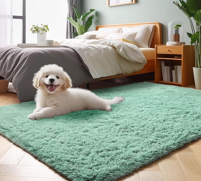 ONASAR Sage Green 3x5 Rugs for Bedroom, Fluffy Bedside Area Rug, Washable Soft Plush Shaggy Small Floor Throw Carpets for Living Room Preppy Dorm Teen Kids Girls Boy Baby Nursery Home Decor Aesthetic