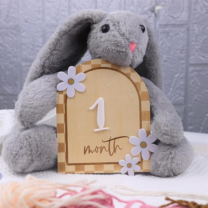 Daisy 3D Baby Monthly Milestone, Wooden Baby Milestone Signs, Monthly Milestone Wood Discs, Baby Milestone Discs (Caro Card)