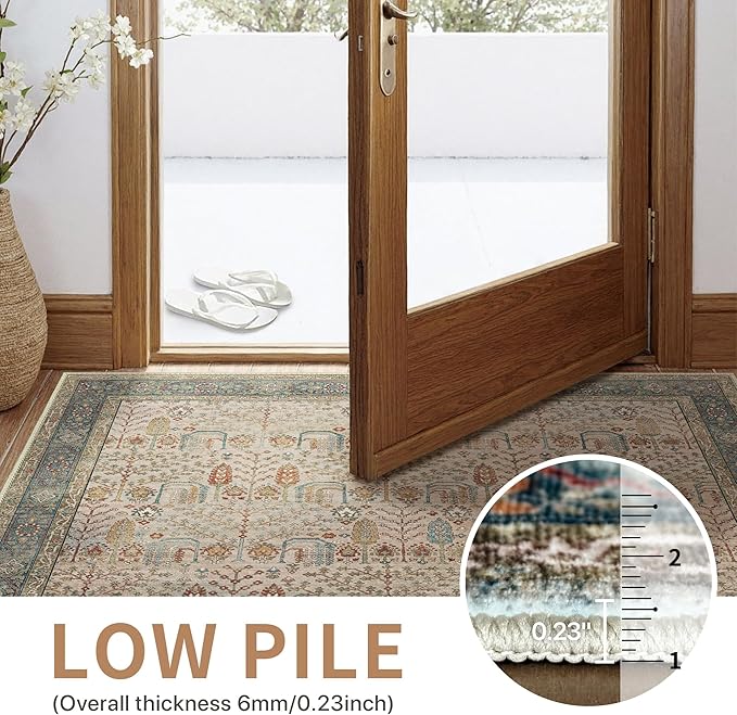 GENIMO Vintage Area Rug 6x9, Boho Living Room Rug with Non-Slip Backing, Machine Washable Low Pile Indoor Carpet for Bedroom, Dining Room, Nursery Room, Brown