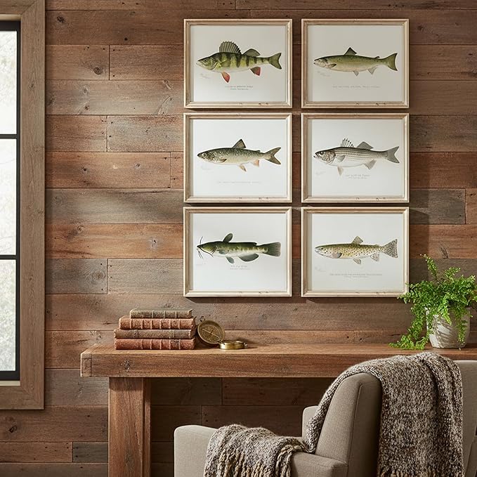 DREAM BIG PRINTABLES Fish Wall Art Prints (Set of 6) - Unframed - 11x14s | Vintage Fishing Decor - Midwest Fish Species - Great Gift for Fisherman