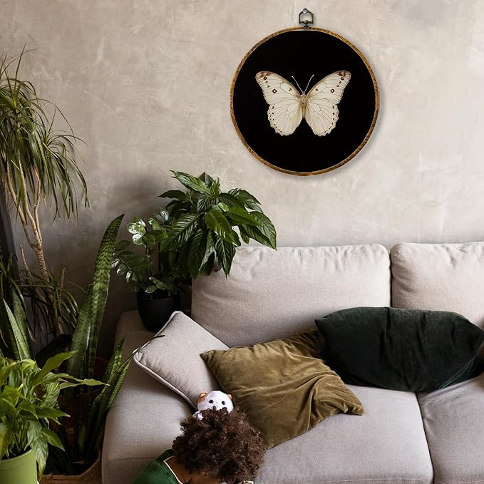 Hiuwevt Vintage White Butterfly Round Wall Art Decor, Retro Antique Moth Hanging Canvas Prints Artwork Framed, Neutral Moody Insect Circular Wall Decor for Home Bedroom Living Room, 10x10 Inch