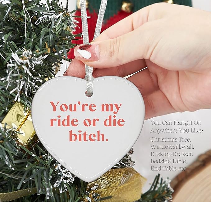 Heart Shaped Christmas Ornament-You’re My Ride or Die Bitch-Funny Friendship Wedding Graduation Birthday Farewell for Best Friends BFF Sister Keepsake Decor