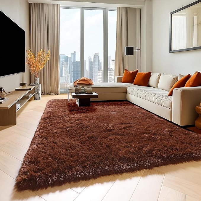 ONASAR Brown 6x9 Area Rugs for Living Room Bedroom, Washable Large Fluffy Bedside Throw Rug, Soft Plush Shaggy Fuzzy Floor Carpet for Nursery Kids Girls Boys Teen Dorm Home Office Decor Aesthetic