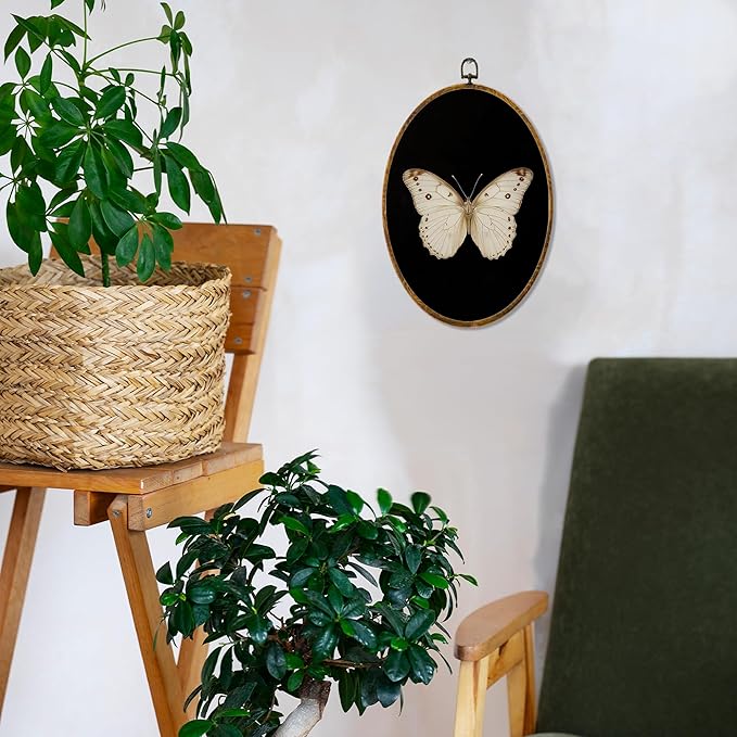 Hiuwevt Vintage White Butterfly Oval Wall Art Decor, Retro Antique Moth Framed Canvas Prints, Neutral Moody Insect Oval Wall Hanging Decor for Home Bedroom Gallery Decorations, 8.6x11.4 Inches