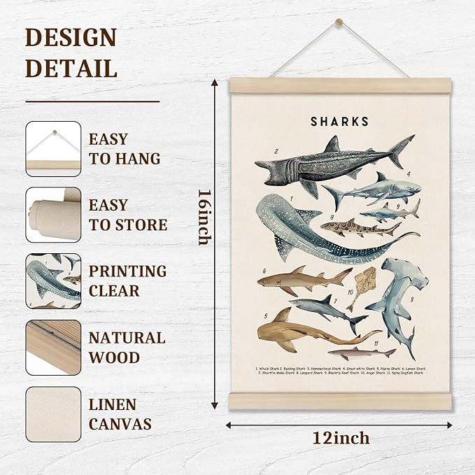 DOI-LANEE Shark Poster Hanger Frame, Set of 2 Shark Canvas Wall Art 16x12 Inch, Kids Educational & Learning Posters, Ocean Room, Sea Animal Decor for Playroom Classroom, Ocean Animals Wall Decor