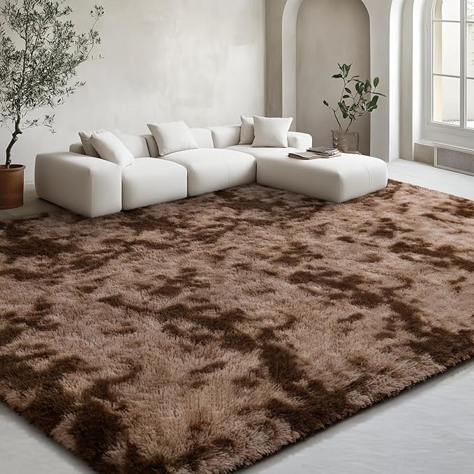 EVOIONOS Area Rug for Bedroom Living Room, Machine Washable 4x6 Fluffy Shag Rug, Soft Plush Non Slip Carpet for Indoor Floor Bedside Nursery Kids Girls Room Dorm, Home Decor Aesthetic, Tie-Dyed Coffee