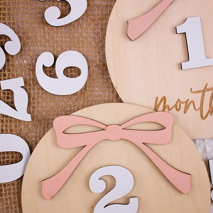 Daisy 3D Baby Monthly Milestone, Wooden Baby Milestone Signs, Monthly Milestone Wood Discs, Baby Milestone Discs (A24)