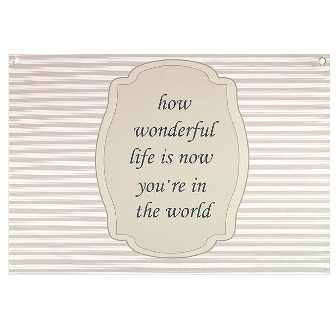 Nursery Baby Present-Rectangular Banner Flag Art Wall Decor Gift for Baby Boy Girl Kid Teen,Homeschool Bedroom Playroom Decor-Baby Shower Birthday Christmas Gift-How Wonderful Life is Now You're in the World