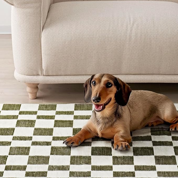 EverGrace Checkered Plaid Area Rug 8x10, Soft Fuzzy Faux Wool Rugs Washable Christmas Rugs Large Rug Carpet for Entryway Bedroom Living Room Hallway Kitchen Dining Room and Laundry Room, Olive Green