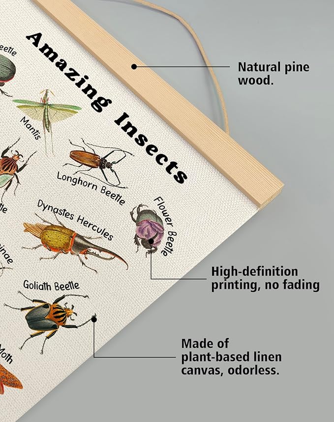 Amazing Insects Linen Canvas Wall Art Poster 18.5x14 Inch, Educational Bug and Beetle Learning Chart for Kids, Nature Science Classroom Decor, Vintage Biology Illustration for Playroom or Nursery