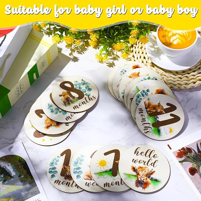 Tiamon 16 Pieces Wooden Baby Monthly Milestone Cards Monthly Milestone Marker Discs Double Sided Wooden Circles Months Signs for Baby Shower Newborn Photo Props(Highland Cow)