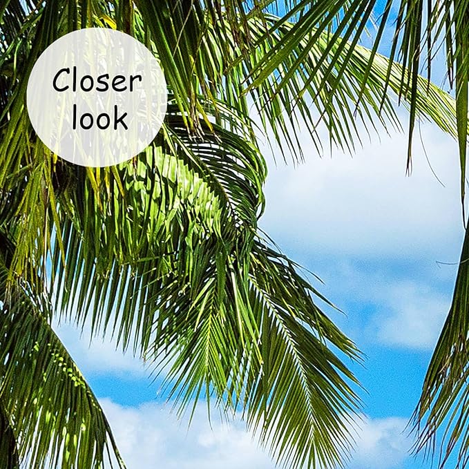 AFZEVEB-Beach Wall Mural Tropical Palm Tree Landscape Wallpaper for Bedroom 136"x96"(Not Peel and Stick)