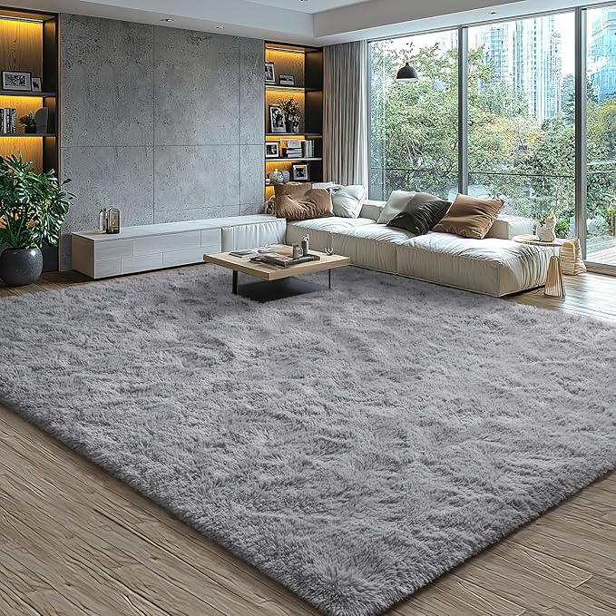 EVOIONOS 5x7 Washable Large Area Rug for Living Room, Fluffy Shag Rug for Bedroom, Ultra Soft Plush Non Slip Carpet for Indoor Floor Bedside Nursery Kids Girls Room Dorm, Home Decor Aesthetic, Grey