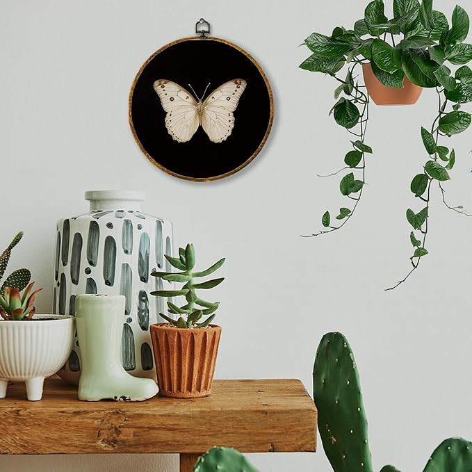 Hiuwevt Vintage White Butterfly Round Wall Art Decor, Retro Antique Moth Hanging Canvas Prints Artwork Framed, Neutral Moody Insect Circular Wall Decor for Home Bedroom Living Room, 10x10 Inch