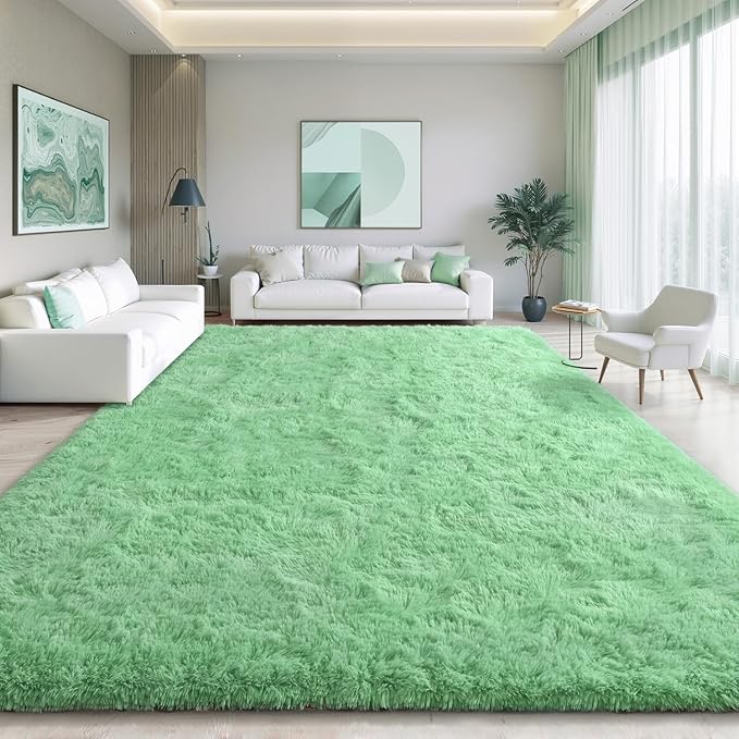 EVOIONOS Ultra Soft Area Rug for Bedroom, 4x6 Machine Washable Fluffy Shag Rug Living Room, Plush Non Slip Carpet Indoor Floor Bedside Nursery Kids Girls Room Dorm, Home Decor Aesthetic, Sage Green