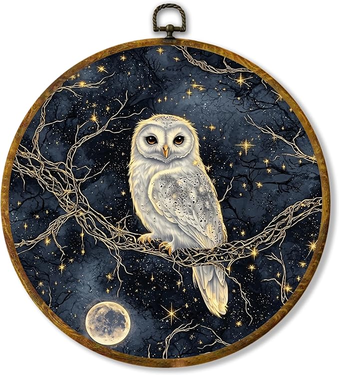 Hiuwevt Gothic Moonlight Owl Round Wall Art Decor, Enchanted Forest Owl Framed Canvas Prints, Dark Academia Star Sky Animal Round Wall Hanging Decor for Office Home Decorations, 10x10 Inches