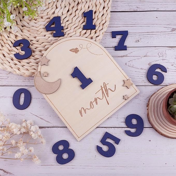 Wooden 3D Baby Monthly Milestone Cards Monthly Milestone Discs Newborn Photography Props Baby Announcement Sign Baby (Moon)
