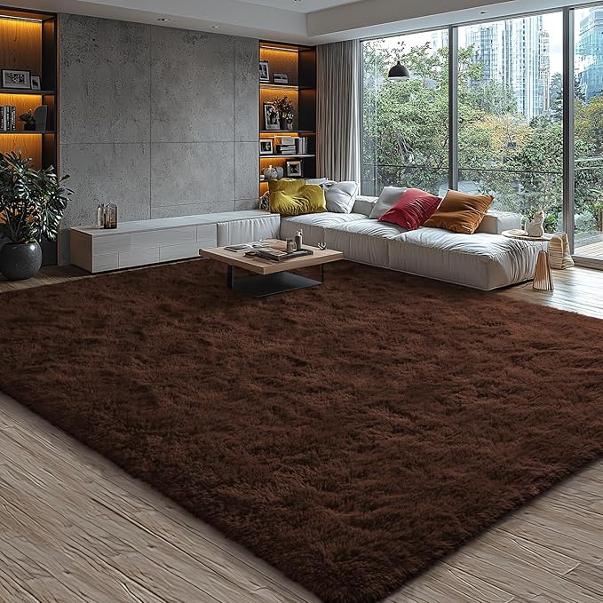 EVOIONOS 5x8 Washable Large Area Rug for Living Room, Fluffy Shag Rug for Bedroom, Ultra Soft Plush Non Slip Carpet for Indoor Floor Bedside Nursery Kids Girls Room Dorm, Home Decor Aesthetic, Coffee