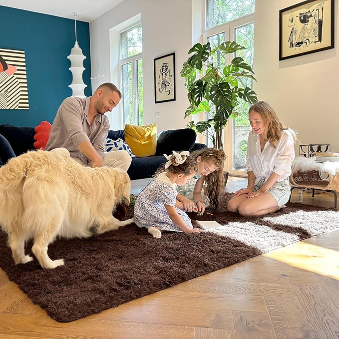 OLANLY 5x8 Machine Washable Large Area Rugs for Living Room, Bedroom, Soft Fluffy Shaggy Bedside Rug, Indoor Floor Carpet for Kids Girls and Boys, Dorms, Nursery, Home Decor Aesthetic, Coffee