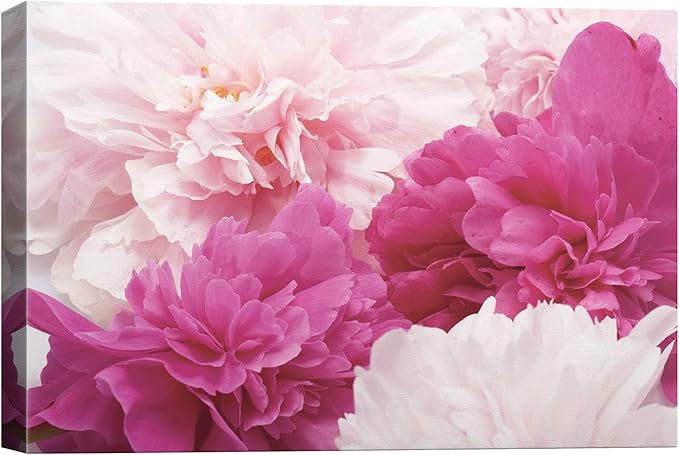 SIGNWIN Canvas Wall Art Bouquet of Blush Pink, Red and White Peony Floral Flower Photography Modern Art Romantics Closeup Duotone for Living Room, Bedroom, Office - 16x24 inches