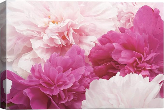 SIGNWIN Canvas Wall Art Bouquet of Blush Pink, Red and White Peony Floral Flower Photography Modern Art Romantics Closeup Duotone for Living Room, Bedroom, Office - 16x24 inches