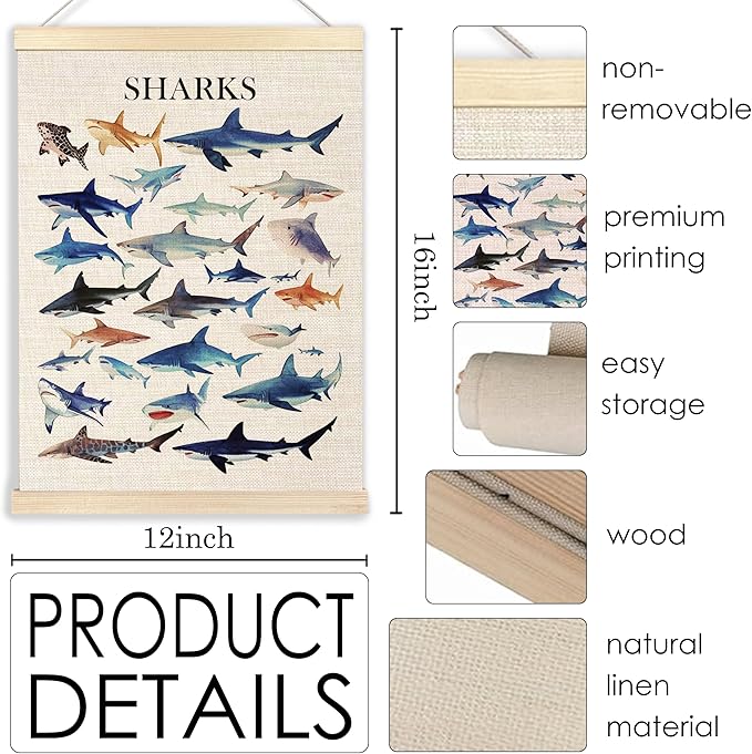Ecezatik Shark Wall Art Set of 2, Shark Posters, Hanging Wall Art Decor for Classroom, Nursery, Kids Room, Playroom, Beach, Ocean Room Decor, 12x16 Inch