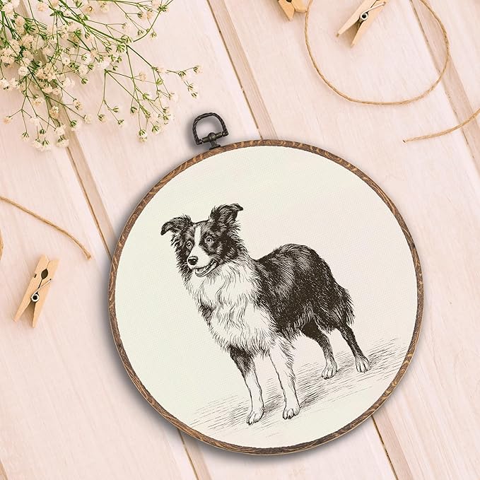 Vintage Border Collie Round Wall Art Framed, Retro Weiner Dog Round Wall Decor, Border Collie Weiner Dog Gifts Hanging Canvas Print Wall Sculpture for Bedroom Living Room Decor, 10x10 Inch