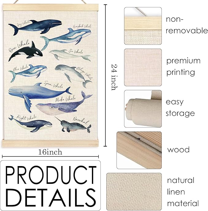 Ecezatik Species of Whales Wall Art with Wooden Poster Hanger, Whale Posters, Beach Room Decor, Ocean Room Decor, Whale Wall Art Decor for for Classroom Nursery Kids Room Playroom, 16x24 Inch