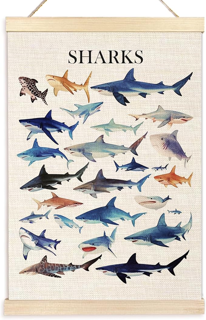 Ecezatik Watercolor Sharks Wall Art with Wooden Poster Hanger, Shark Posters, Beach Room Decor, Ocean Room Decor, Shark Wall Art Decor for for Classroom Nursery Kids Room Playroom, 16x24 Inch
