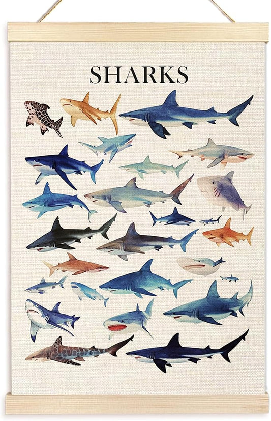 Ecezatik Watercolor Sharks Wall Art with Wooden Poster Hanger, Shark Posters, Beach Room Decor, Ocean Room Decor, Shark Wall Art Decor for for Classroom Nursery Kids Room Playroom, 16x24 Inch