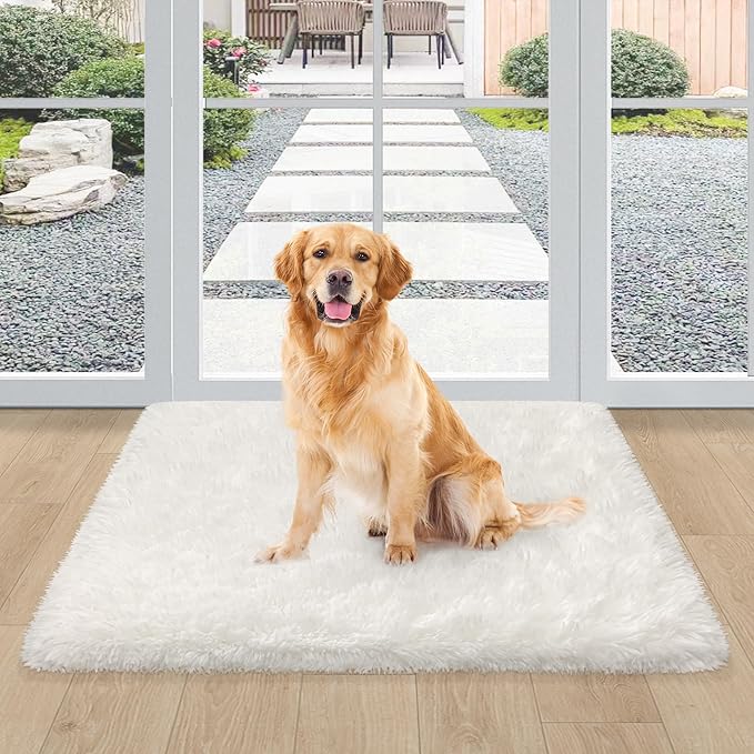 White Fluffy Rug for Bedroom Living Room, 2x3 Small White Area Rug Furry Throw Bedside Rug for Dorm, Non-Slip Entryway Indoor Front Door Mat, Soft Plush Shag Carpet Washable for Nursery Kids