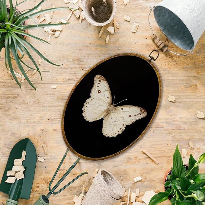 Hiuwevt Vintage White Butterfly Oval Wall Art Decor, Retro Antique Moth Framed Canvas Prints, Neutral Moody Insect Oval Wall Hanging Decor for Home Bedroom Gallery Decorations, 8.6x11.4 Inches