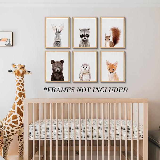 Jungle Safari Decor - Cute Animal Wall Art, Baby Bedroom Decor (8"x10", UNFRAMED) (Forest)