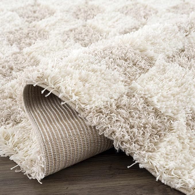 Hauteloom Atira Hallway, Kitchen Runner Rug - Contemporary - Plush Pile - Cream, Light Beige, Light Brown - 2'7" x 20'