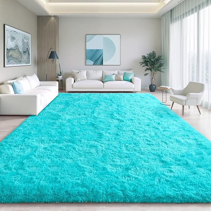 EVOIONOS 6x9 Washable Large Area Rug for Living Room, Fluffy Shag Rug for Bedroom, Ultra Soft Plush Non Slip Indoor Floor Bedside Nursery Kids Girls Room Dorm Carpet, Home Decor Aesthetic, Teal Blue