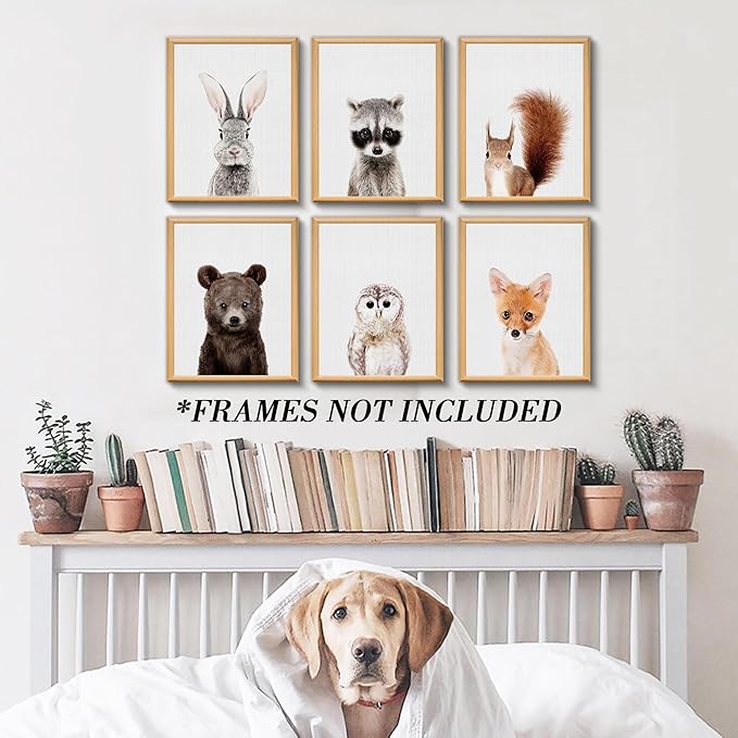 Jungle Safari Decor - Cute Animal Wall Art, Baby Bedroom Decor (8"x10", UNFRAMED) (Forest)