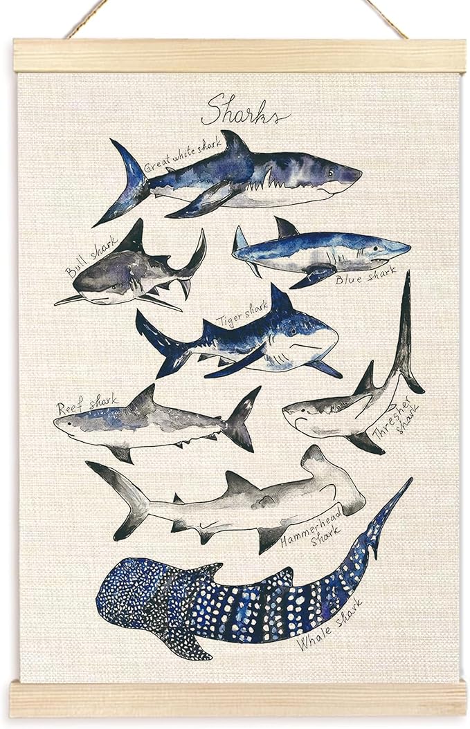 Ecezatik Sharks Poster Hanger Frame, Shark Wall Art, Beach Room Decor, Coastal Home Decor, Shark Hanging Wall Decor for Classroom Nursery Boys Room, Shark Gifts for Shark Lovers, 16x24