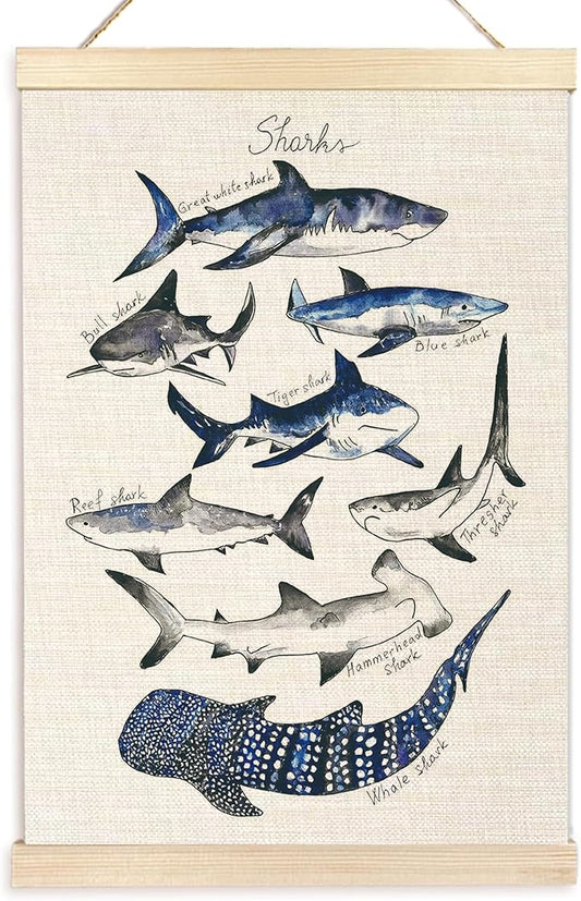 Ecezatik Sharks Poster Hanger Frame, Shark Wall Art, Beach Room Decor, Coastal Home Decor, Shark Hanging Wall Decor for Classroom Nursery Boys Room, Shark Gifts for Shark Lovers, 16x24