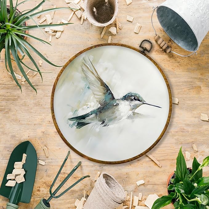 Hiuwevt Vintage Hummingbird Bird Round Wall Art Decor, Watercolor Farmhouse Bird Framed Canvas Prints, Retro Hummingbird Round Wall Hanging Decor for Bedroom Home Decorations, 10x10 Inches