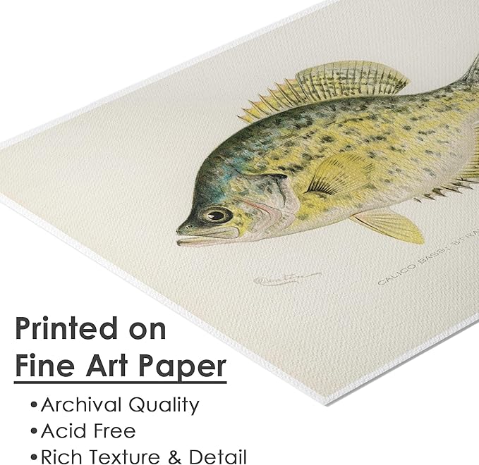 DREAM BIG PRINTABLES Vintage Fishing Decor (Set of 6) - Unframed - 11x14s | Fish Wall Art Prints | Great Gift for Fishermen