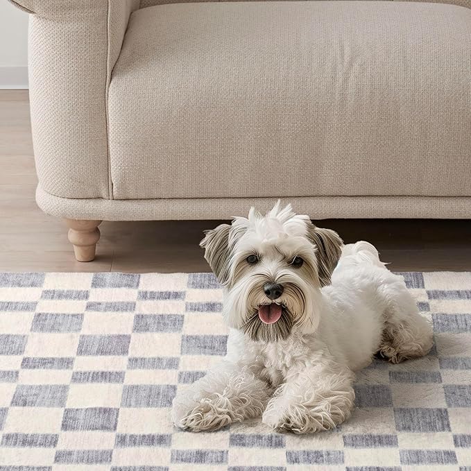 EverGrace Checkered Plaid Area Rug 2x3, Soft Fuzzy Faux Wool Rugs Washable Anti Slip Rugs Small Rug Carpet for Entryway Bedroom Living Room Hallway Kitchen Dining Room and Laundry Room, Light Gray