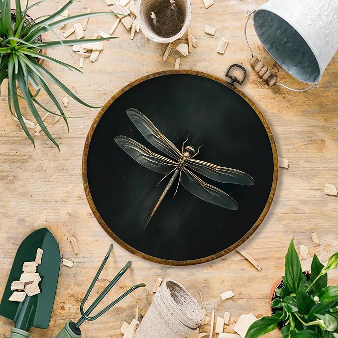 Hiuwevt Dark Dragonfly Round Wall Art Decor, Vintage Dark Academic Dragonfly Framed Canvas Prints, Gothic Dragonflies Round Wall Hanging Decor for Home Room Decorations, 10x10 Inches