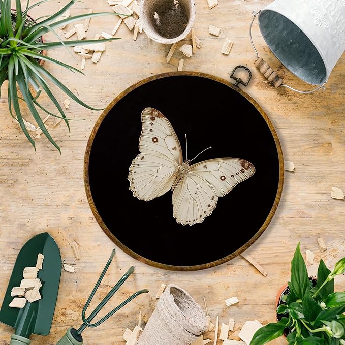 Hiuwevt Vintage White Butterfly Round Wall Art Decor, Retro Antique Moth Hanging Canvas Prints Artwork Framed, Neutral Moody Insect Circular Wall Decor for Home Bedroom Living Room, 10x10 Inch