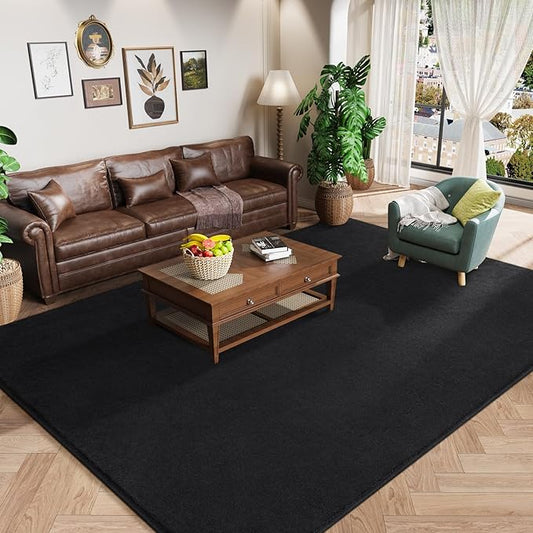 Amearea Large Modern Area Rugs for Bedroom Living Room, 5x8 Feet Black Thickened Memory Foam Rug, Fluffy Indoor Washable Rugs Non Slip Minimalist Carpet for Boys Girls Dorm Nursery Room Decor