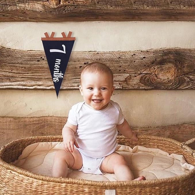 12 PCS Baby Monthly Milestone Felt Pennant - Navy Blue 1 to 12 Months Photo Props, Newborn Growth Record Triangle Banner, First Year Signs, Boys Monthly Photo Props