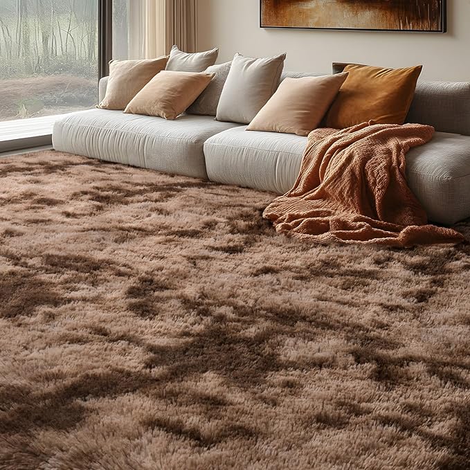 EVOIONOS Area Rug for Bedroom Living Room, Machine Washable 4x6 Fluffy Shag Rug, Soft Plush Non Slip Carpet for Indoor Floor Bedside Nursery Kids Girls Room Dorm, Home Decor Aesthetic, Tie-Dyed Coffee