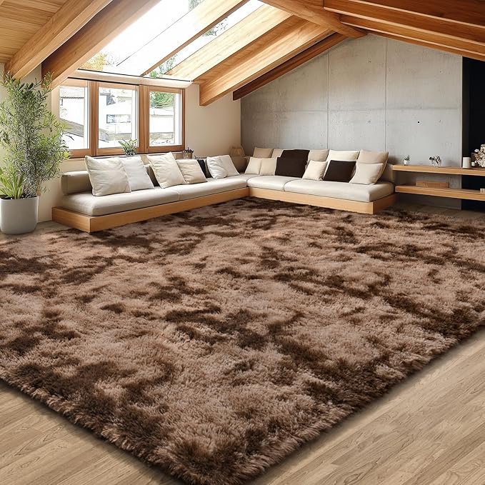 EVOIONOS Area Rug for Living Room Bedroom, Washable 7x10 Fluffy Shag Large Rug, Soft Plush Non Slip Carpet for Indoor Floor Bedside Nursery Kids Girls Room Dorm, Home Decor Aesthetic, Tie-Dyed Coffee