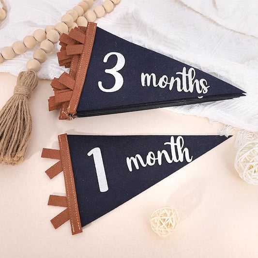 12 PCS Baby Monthly Milestone Felt Pennant - Navy Blue 1 to 12 Months Photo Props, Newborn Growth Record Triangle Banner, First Year Signs, Boys Monthly Photo Props