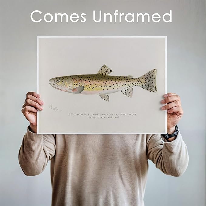 DREAM BIG PRINTABLES Fish Wall Art Prints (Set of 6) - Unframed - 11x14s | Vintage Fishing Decor - Midwest Fish Species - Great Gift for Fisherman