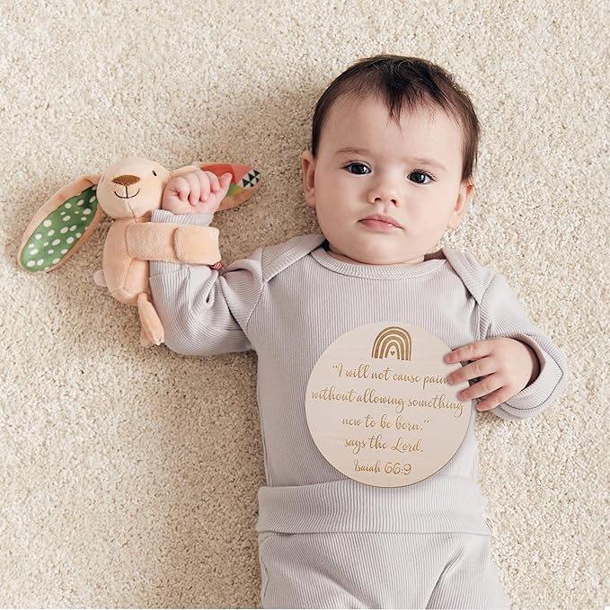 Wooden Rainbow Baby Scripture Sign, 6 Inch Round Nursery Wall Decor with Stand, Isaiah 66:9 Bible Verse Quote, Birth Announcement Plaque